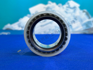 ZF MT-E محور الأسطوانة الأسطوانة تحمل 0750 118 493