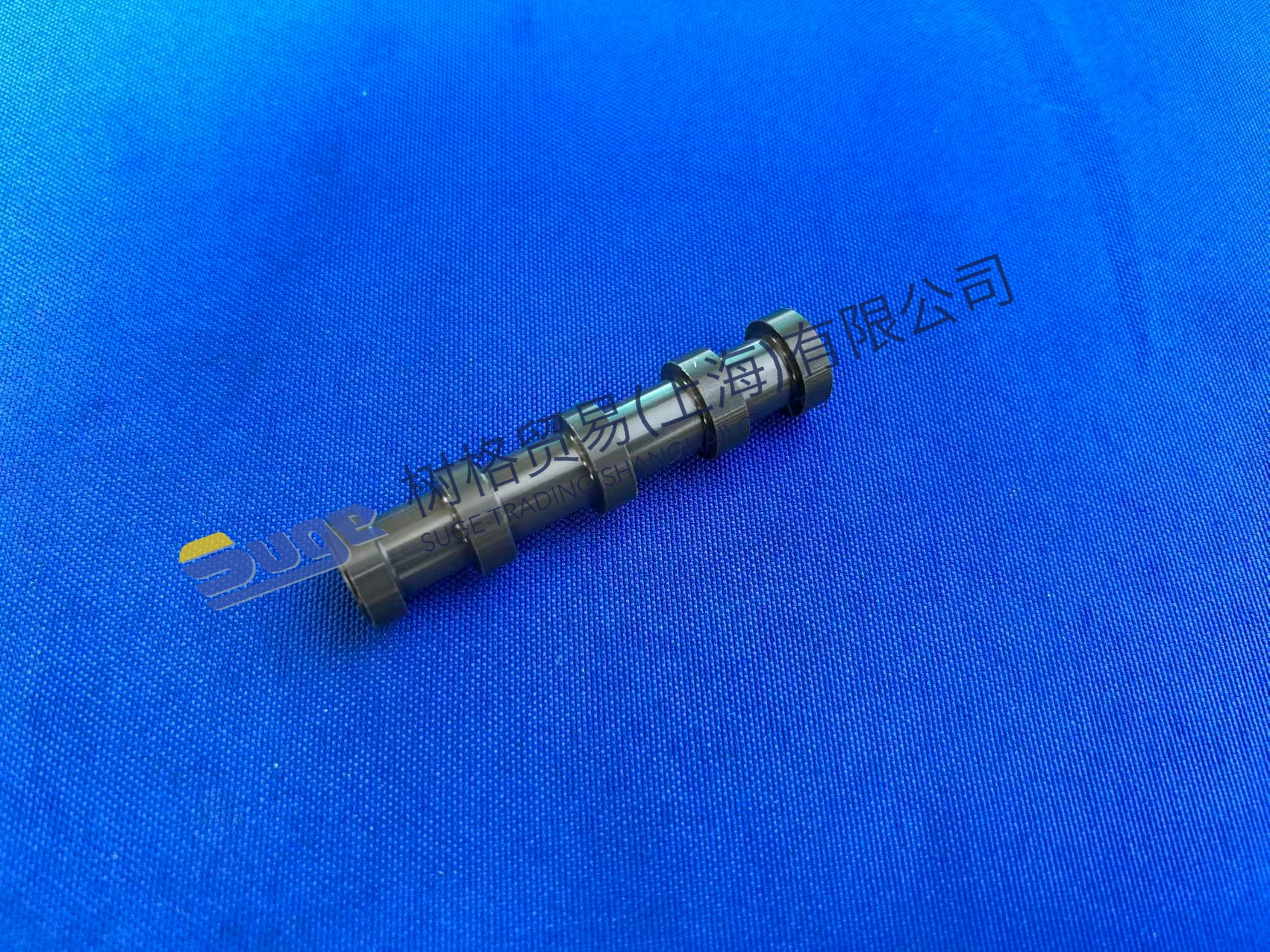 ZF 4WG200 المكبس 4644 306 383