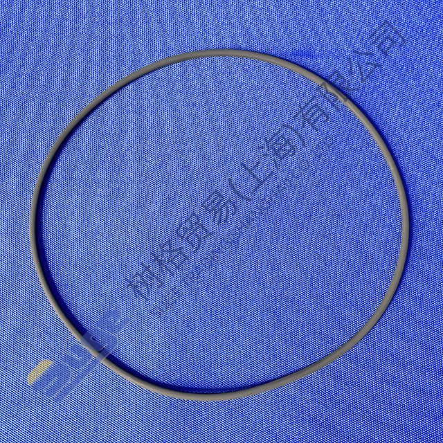 ZF 4WG260 4WG310 حلقة WGO 142x3 0634 313 719