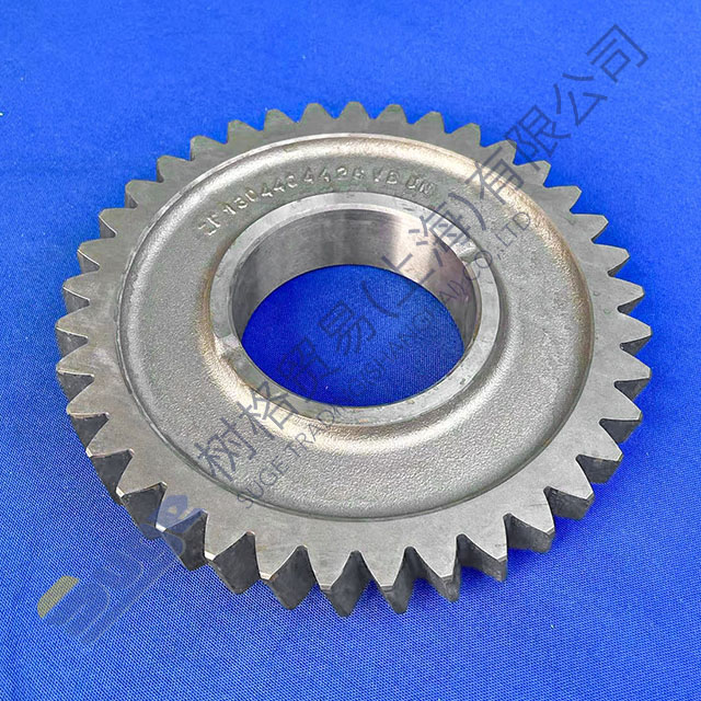 ZF 9s1310TO تروس حلزونية 1304 304 543