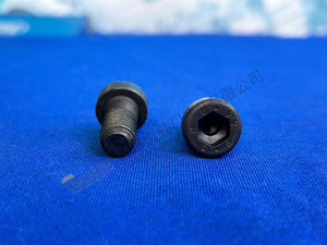 ZF MT-E CAP CAP SCEL 0636 102 041