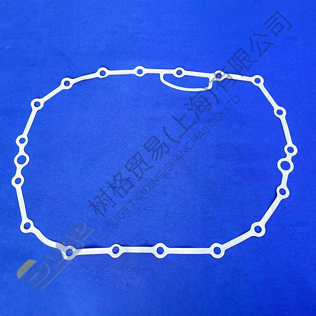 ZF 9s1310TO مجموعة حشيات 1304 301 305
