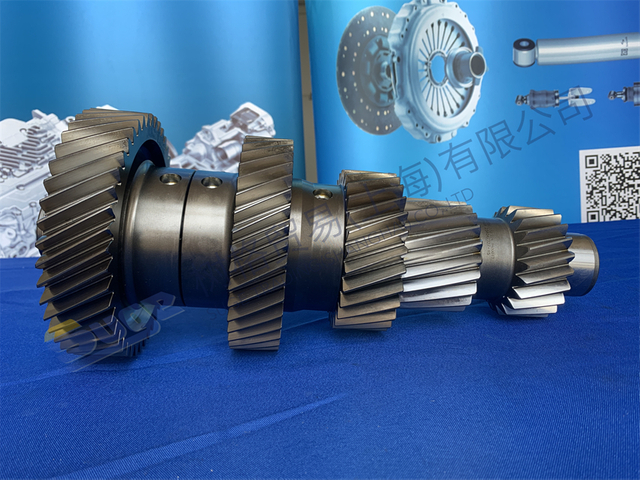 ZF TRAXON أجزاء ناقل الحركة الأوتوماتيكي LAYSHAFT-PUMP DRIVING 1358 203 219