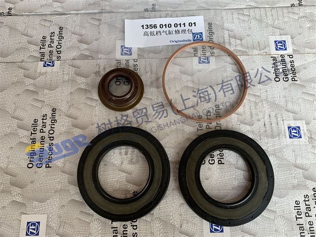 ZF ECOSPLIT4 أجزاء علبة التروس GP CYLINDER REPAIR KIT 1356 010 011