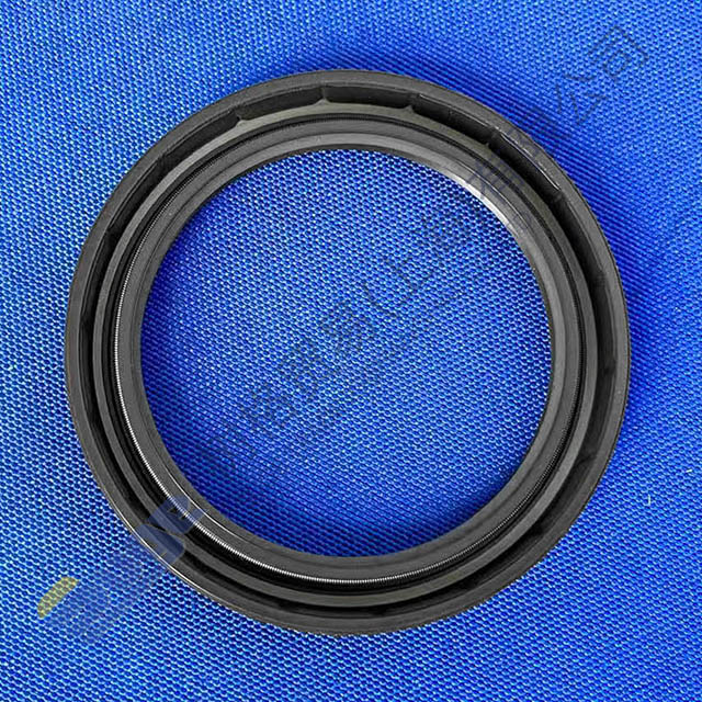 ZF PTO N109/10B ختم شفة الإخراج 0734 319 559