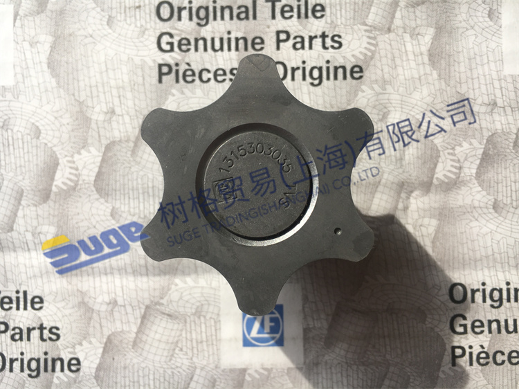 ZF ECOSPLIT4 أجزاء علبة التروس PUMP GEARSHAFT 1314 202 039