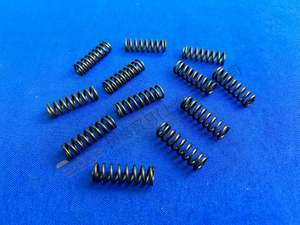 ZF MT-E COXLE COMPRASTION SPRING 0732 042 895
