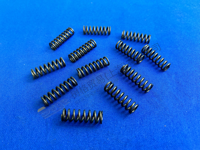 ZF MT-E COXLE COMPRASTION SPRING 0732 042 895