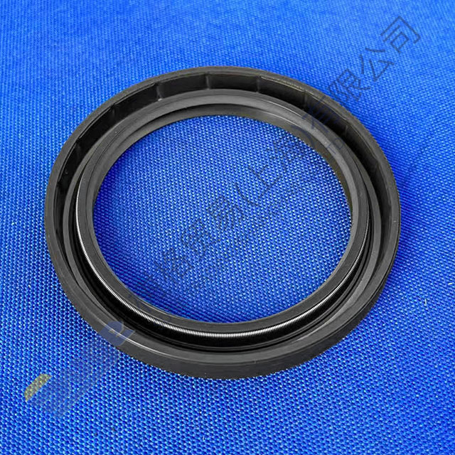 ZF PTO N109/10B ختم شفة الإخراج 0734 319 559