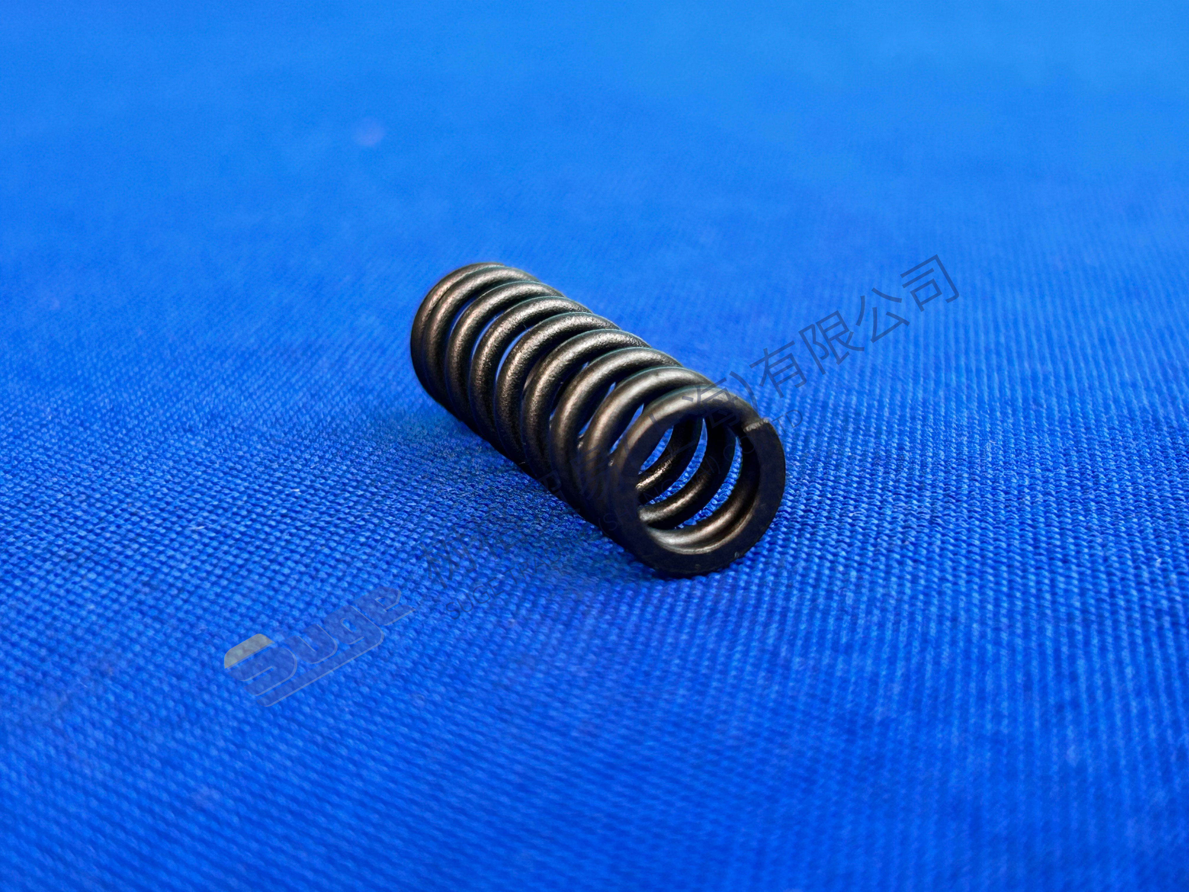 ZF MT-E COXLE COMPRASTION SPRING 0732 042 895