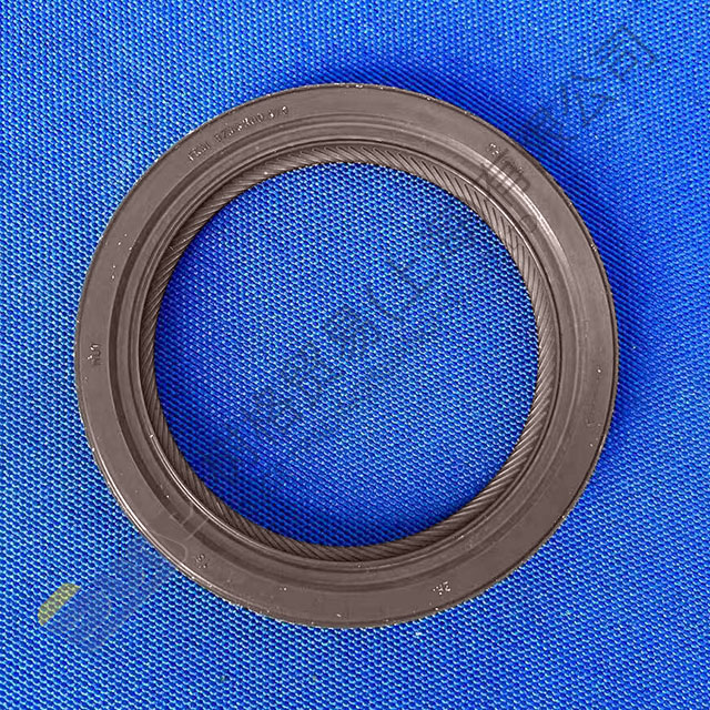 ZF 9s1310TO ختم عمود الإدخال 0769 174 313