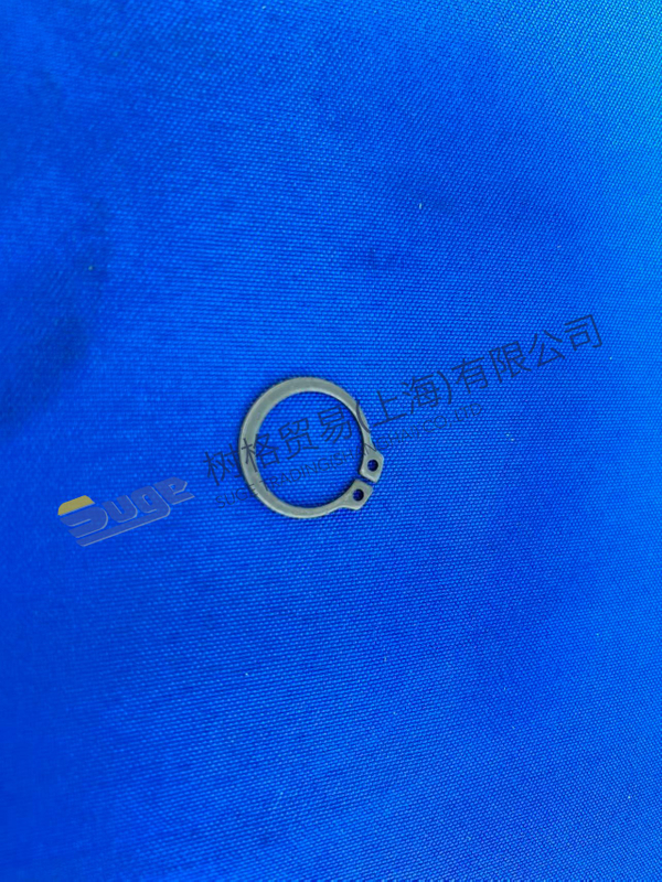 ZF 4WG200 حلقة المفاجئة 0630 501 018