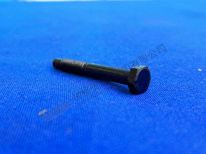 ZF MT-E AXLE HEXAGON SCREW 0736 004 055
