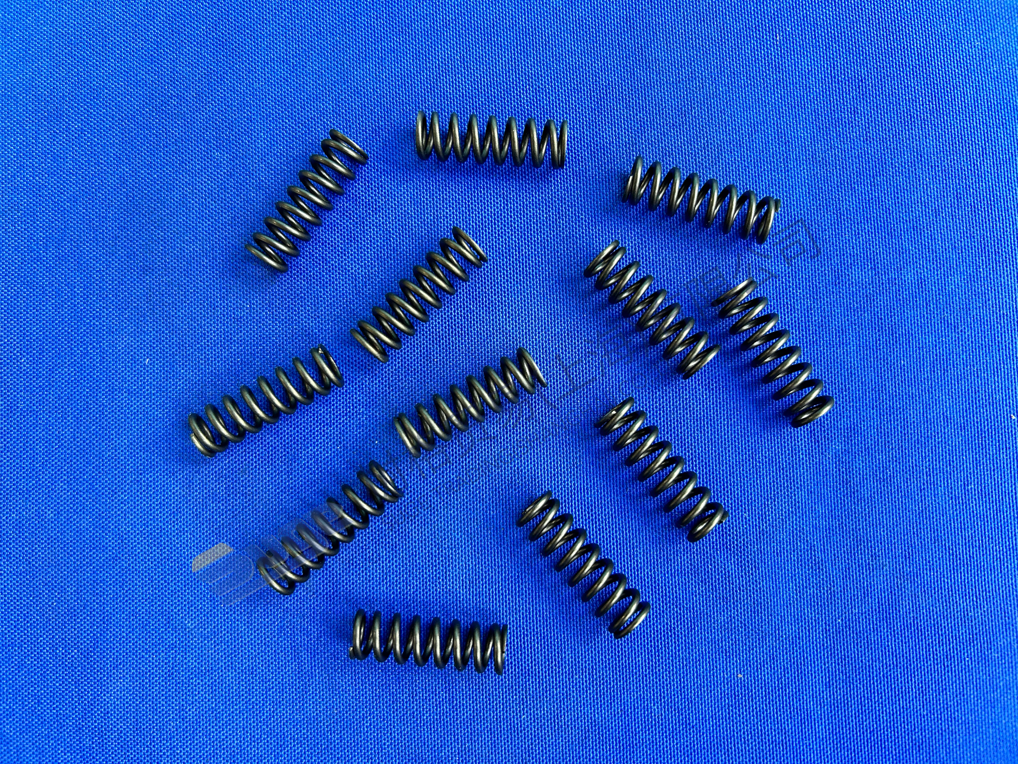 ZF MT-E COXLE COMPRASTION SPRING 0732 042 895
