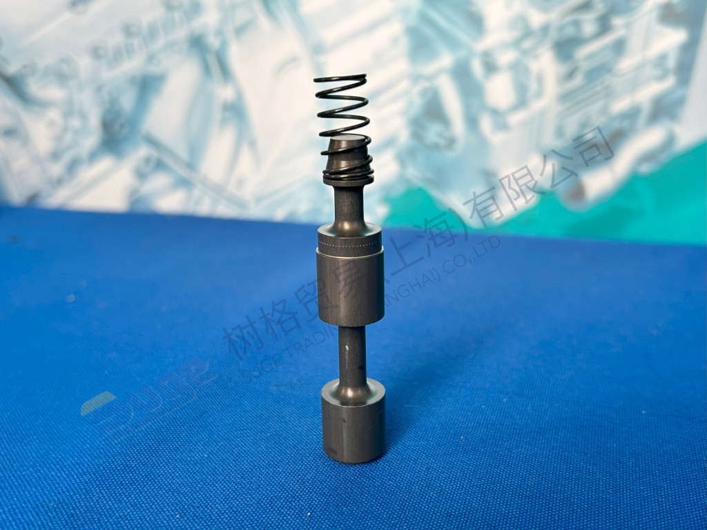 ZF PISTON تنطبق على INTARDER 6093 202 003