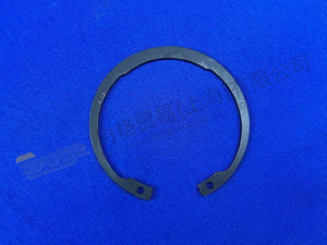 حلقة الاحتفاظ ZF 0730 303 670