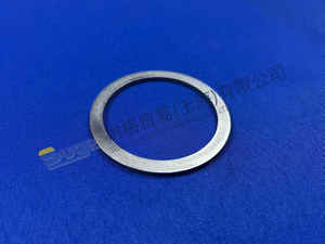 حلقة داعمة ZF 4BP230 0730 011 028