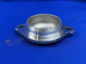 غلاف ZF 1358 302 218