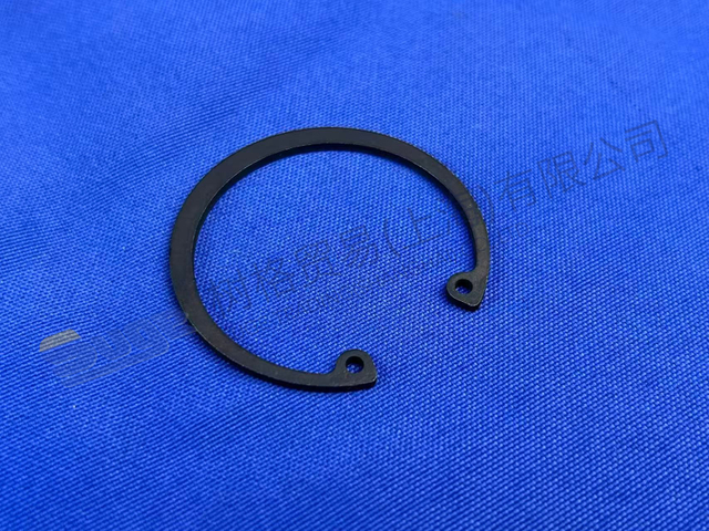 حلقة الاحتفاظ ZF 0630 502 027