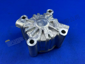 اسطوانة ZF 1315 334 069