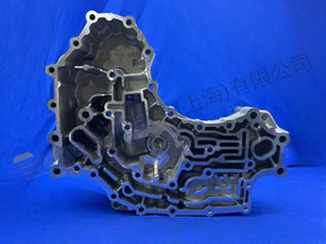 ZF التحكم الإسكان 6093 302 055