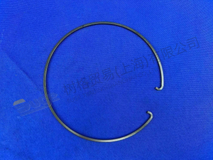 حلقة الاحتفاظ ZF 0730 513 745