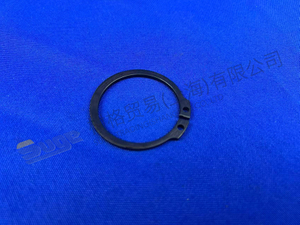 حلقة الاحتفاظ ZF 0630 531 057