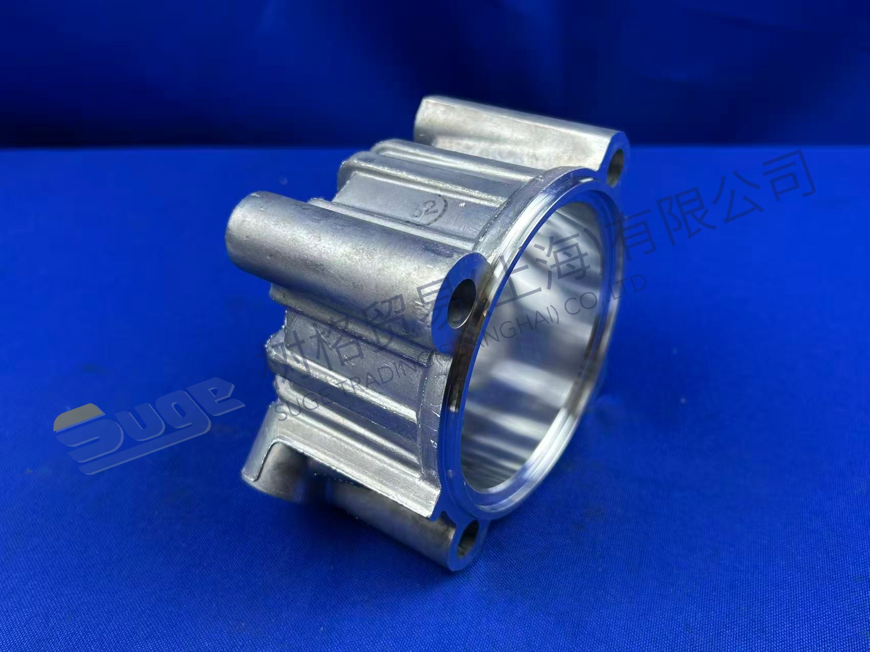 اسطوانة ZF 1315 334 069