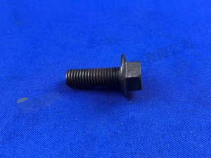 برغي قفل ZF 0501 398 785