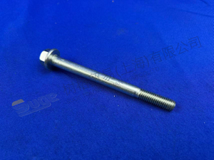 ZF مسدس المسمار 0636 104 539